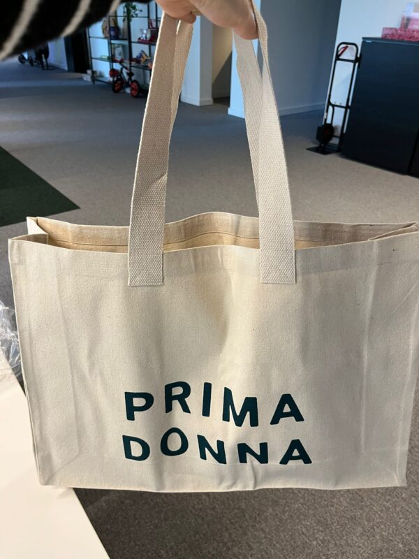COTTON CANVAS SHOPPING BAGS with 3 side gusset (225 GSM)